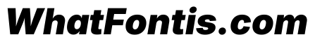 Inter 18pt Black Italic