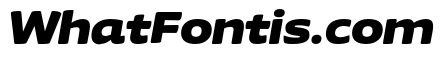 Chidori Wide Black Italic