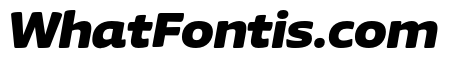 Chidori Expanded Black Italic