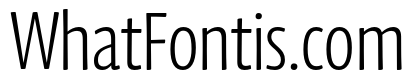Chidori Condensed Light