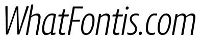 Chidori Condensed Light Italic