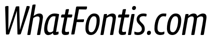 Chidori Condensed Italic