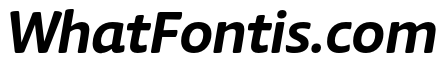 Chidori Bold Italic