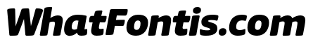 Chidori Black Italic