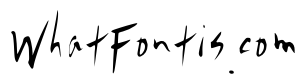 Callifont CoolGuy Light