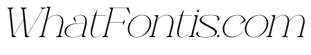 Neo Joel Italic
