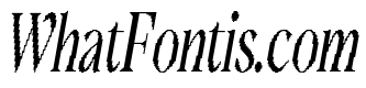 Frezine Oblique