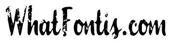 Florida Palms Script Textured