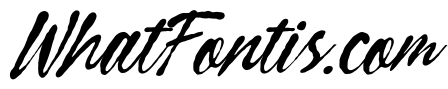 Curiousity Reuis Italic