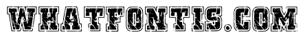 Combat Jersey Regular