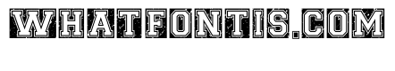 Cheer Distressed