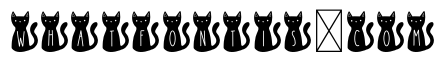 BFC Black Cat Monogr