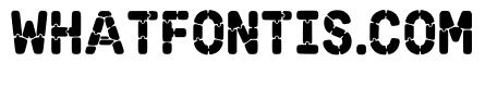 Aqib Regular