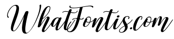 Alyora Script SemExp Slant