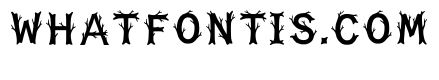 Alga Regular