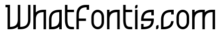Greenwashing Machine Italic