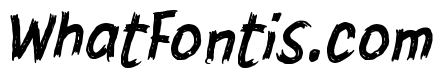IRENG