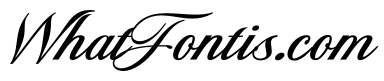 Polaroid Script