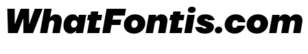 TT Firs Neue Trl ExtraBold It