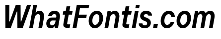 TT Hoves Pro Trl Cnd DemiBold Italic