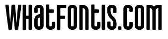 Zeronic Regular