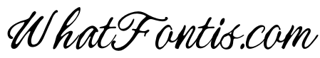 Youth Gradient Script