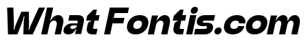 Your Brosh Italic