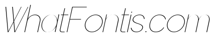 Worgant Thin Italic