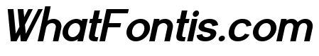Worgant Heavy Italic