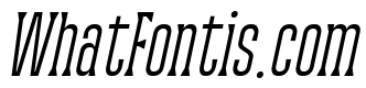 Wackers Italic Serif