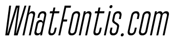Wackers Italic Sans