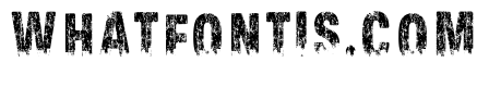 Urban Jungle grunge Regular