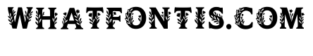 Ulysses Regular
