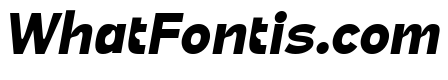 True Ethic Bold Italic