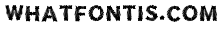 Trefoil Regular