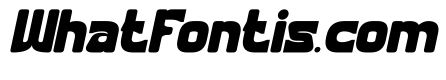 The Writer Bold Italic