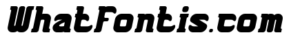 THE TROJAN HORSE Bold Italic