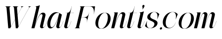 The Simple Editorial Italic Reg