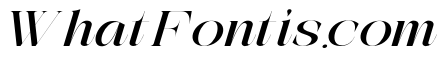 The Simple Editorial I Ex Expan