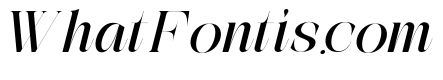 The Simple Editorial Italic Exp