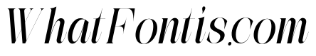 The Simple Editorial Italic Con