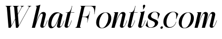 The Simple Editorial Italc Bold