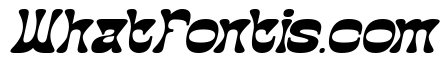The Momentum Italic
