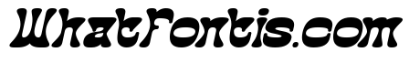 The Momentum Bold Italic