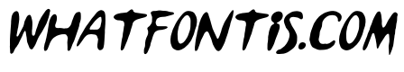 Sunset Shore Italic
