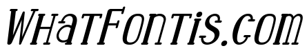 Sunny Scoops Italic