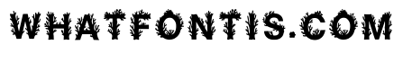 Sunbeam Regular