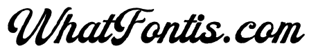 Summer Archive Script