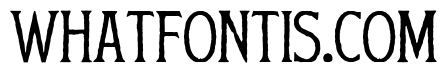 Summer Archive Flared Serif