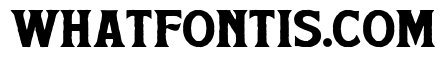 Summer Archive Bold Serif